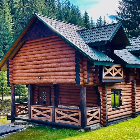У Віти Котедж4 Synevyrsʼka Polyana Exterior foto
